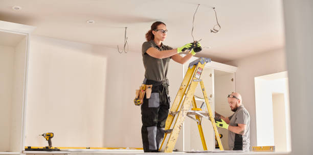 Best Electric Panel Repair  in Scottville, MI
