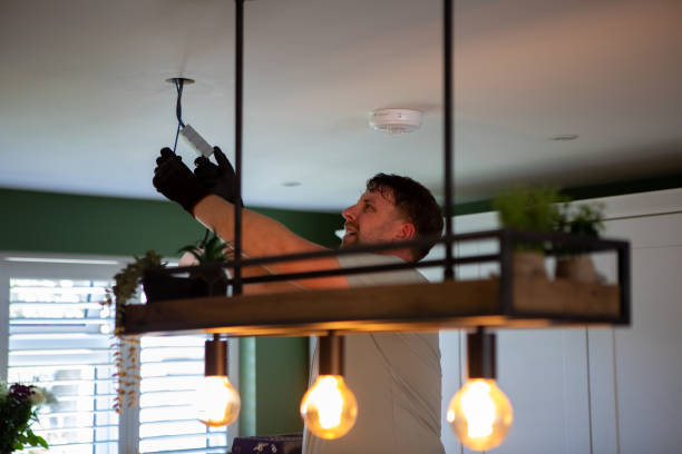 Best Electric Panel Repair  in Scottville, MI